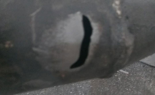 普通好色先生TV在线下载